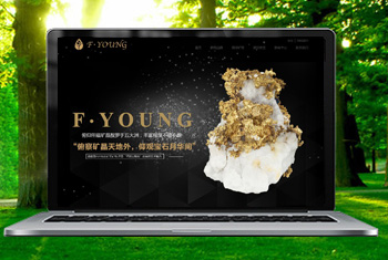 ̩�ݸ������ﱦʯ